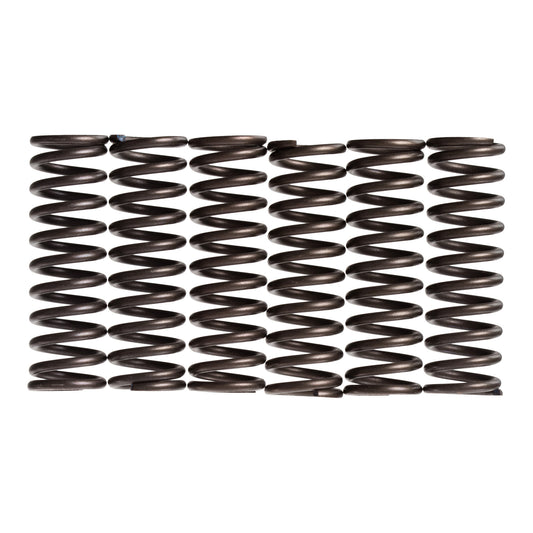 Premier Clutch Springs - Heavy Duty
