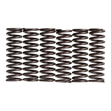 Premier Clutch Springs - Heavy Duty