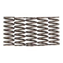 Premier Clutch Springs - Heavy Duty