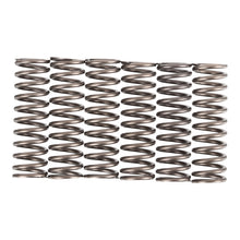 Premier Clutch Springs - Heavy Duty