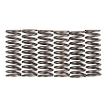 Premier Clutch Springs - Heavy Duty