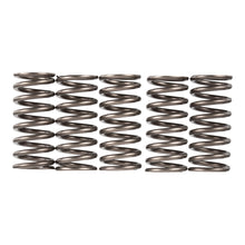 Premier Clutch Springs - Heavy Duty