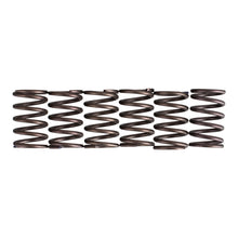 Premier Clutch Springs - Heavy Duty