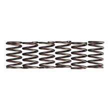 Premier Clutch Springs - Heavy Duty