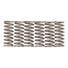 Premier Clutch Springs - Heavy Duty