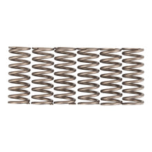 Premier Clutch Springs - Heavy Duty