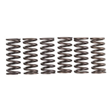 Premier Clutch Springs - Heavy Duty