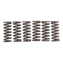 Premier Clutch Springs - Heavy Duty