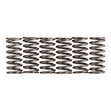 Premier Clutch Springs - Heavy Duty