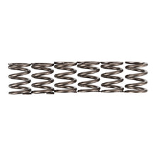 Premier Clutch Springs - Heavy Duty