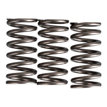 Premier Clutch Springs - Heavy Duty
