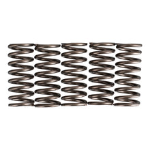 Premier Clutch Springs - Heavy Duty