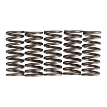 Premier Clutch Springs - Heavy Duty