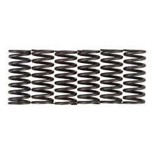 Premier Clutch Springs - Heavy Duty