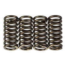 Premier Clutch Springs - Heavy Duty
