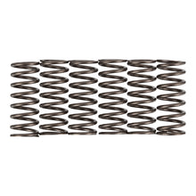 Premier Clutch Springs - Heavy Duty