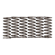 Premier Clutch Springs - Heavy Duty