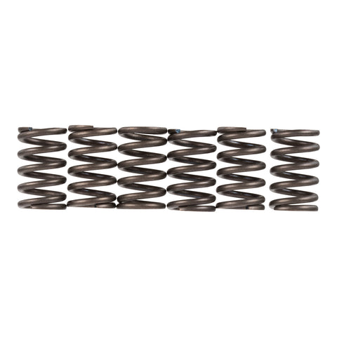 Premier Clutch Springs - Heavy Duty