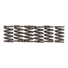 Premier Clutch Springs - Heavy Duty