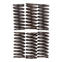 Premier Clutch Springs - Heavy Duty