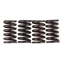 Premier Clutch Springs - Heavy Duty