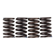 Premier Clutch Springs - Heavy Duty