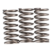 Premier Clutch Springs - Heavy Duty