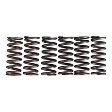 Premier Clutch Springs - Heavy Duty