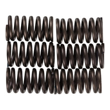 Premier Clutch Springs - Heavy Duty