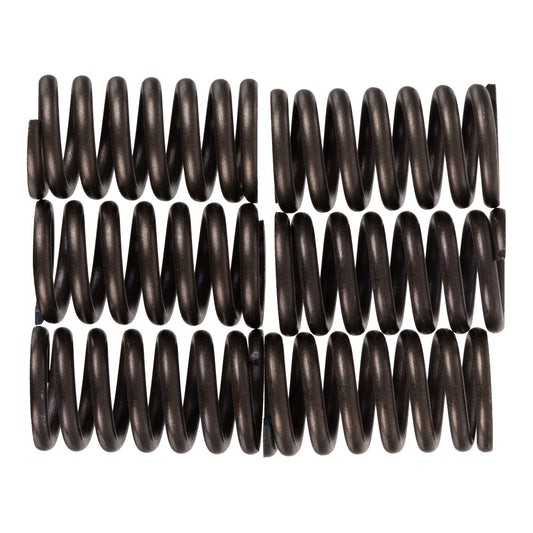 Premier Clutch Springs - Heavy Duty