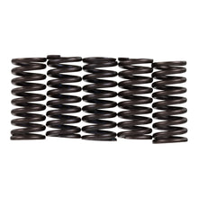 Premier Clutch Springs - Heavy Duty