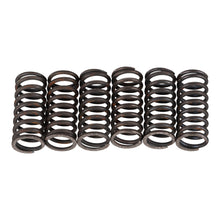 Premier Clutch Springs - Heavy Duty