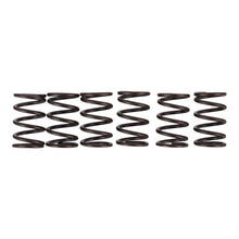 Premier Clutch Springs - Heavy Duty