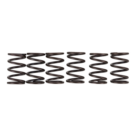 Premier Clutch Springs - Heavy Duty