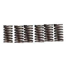Premier Clutch Springs - Heavy Duty