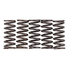 Premier Clutch Springs - Heavy Duty