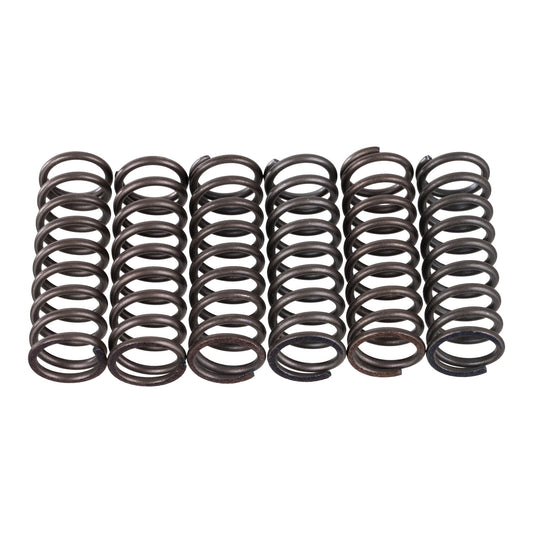 Premier Clutch Springs - Heavy Duty