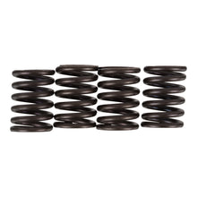 Premier Clutch Springs - Heavy Duty