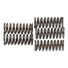 Premier Clutch Springs - Heavy Duty