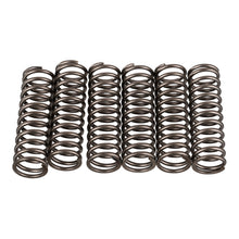 Premier Clutch Springs - Heavy Duty