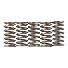Premier Clutch Springs - Heavy Duty