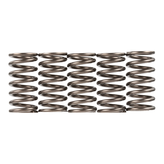 Premier Clutch Springs - Heavy Duty