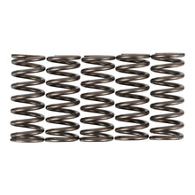 Premier Clutch Springs - Heavy Duty
