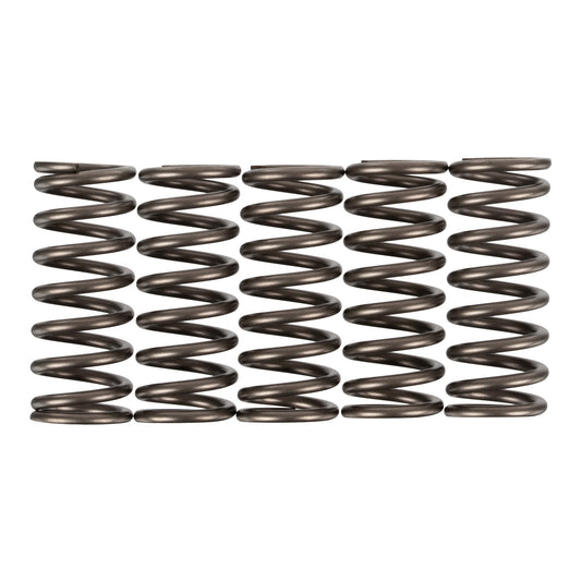 Premier Clutch Springs - Heavy Duty