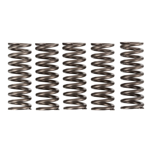 Premier Clutch Springs - Heavy Duty