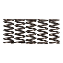 Premier Clutch Springs - Heavy Duty