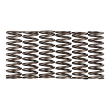 Premier Clutch Springs - Heavy Duty