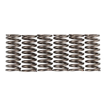 Premier Clutch Springs - Heavy Duty