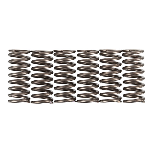 Premier Clutch Springs - Heavy Duty