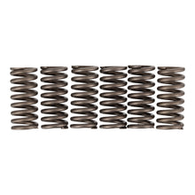 Premier Clutch Springs - Heavy Duty